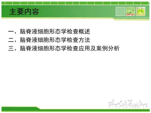 体液细胞形态学探讨二