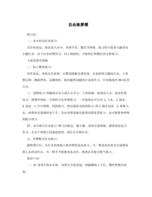 自由泳要领 