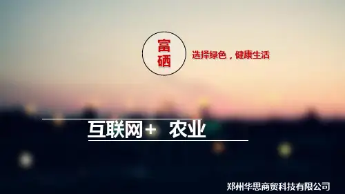 互联网+大学生创新创业商业项目计划汇报(精美ppt模板)