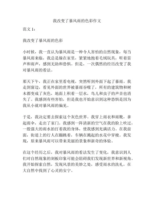 我改变了暴风雨的色彩作文