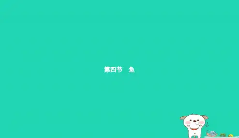 八年级生物上册5.1.4鱼课件新版新人教版2018122718