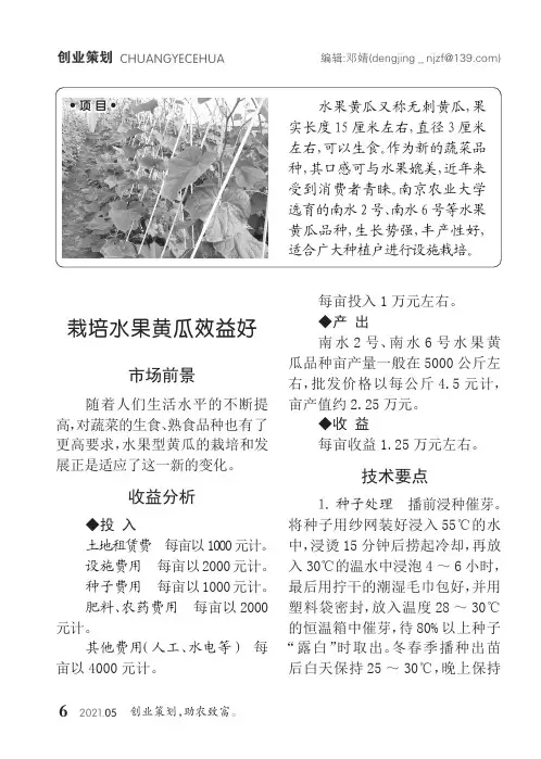 栽培水果黄瓜效益好