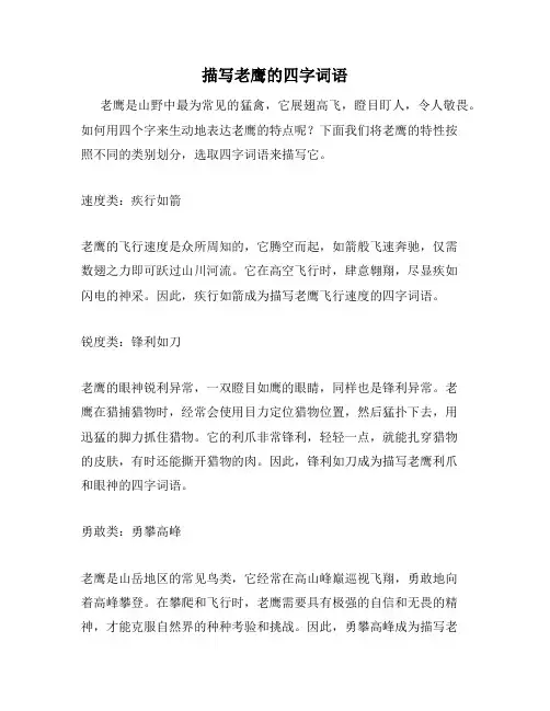 描写老鹰的四字词语