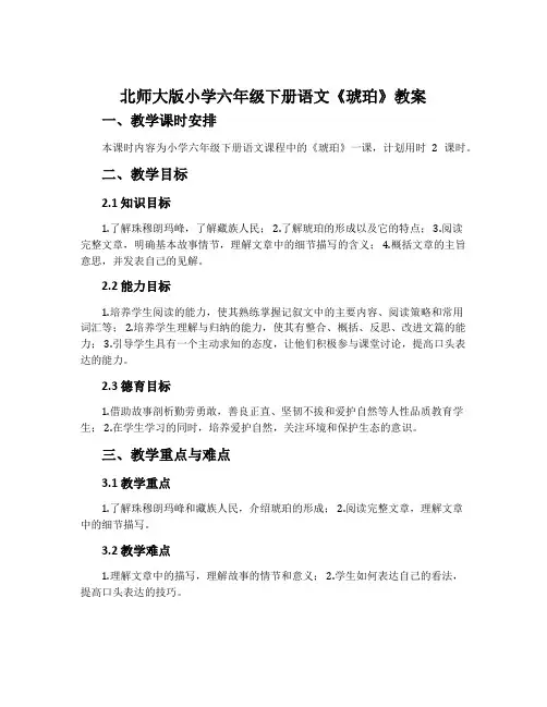 北师大版小学六年级下册语文《琥珀》教案