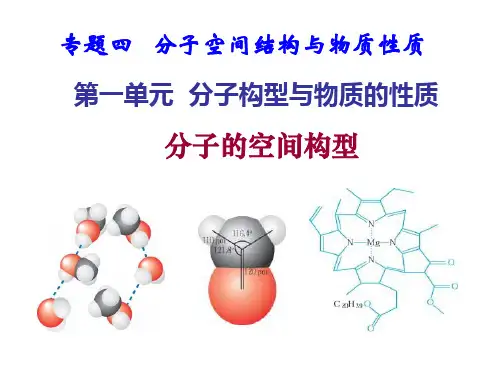 分子的空间构型