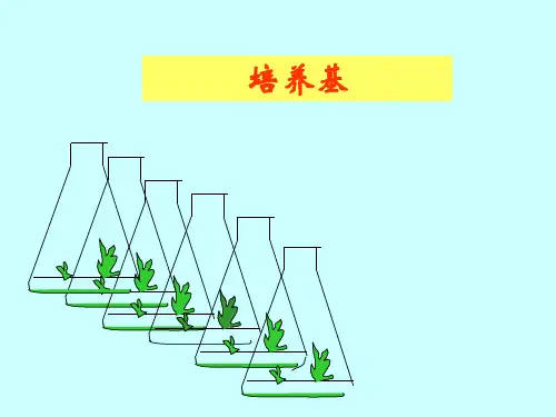 如何配制MS培养基