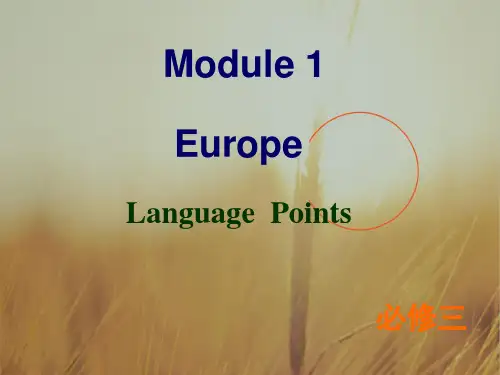 外研版英语必修三 Module 1 Europe Language points 课件 共59张
