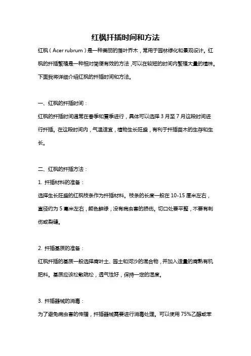 红枫扦插时间和方法