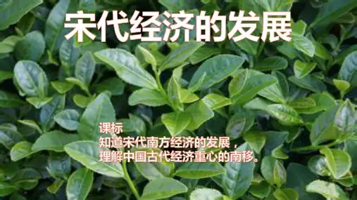 七年级历史部编版下册第9课宋代经济的发展课件_3