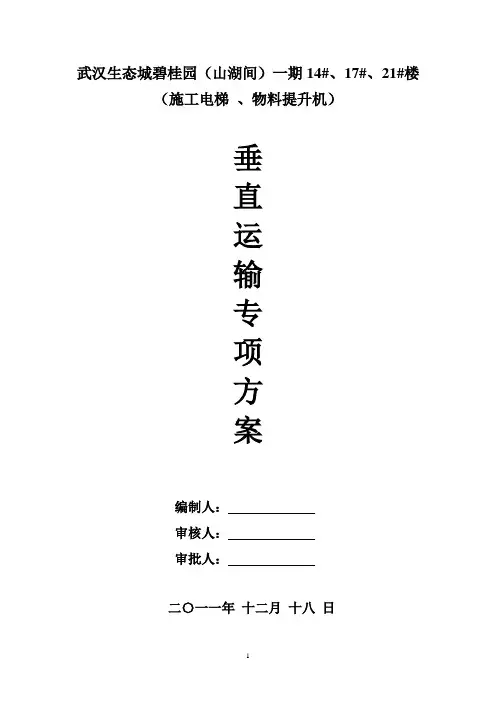 (完整版)垂直运输设备施工方案(好)