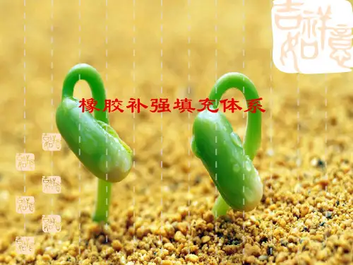 橡胶补强与填充体系幻灯片PPT