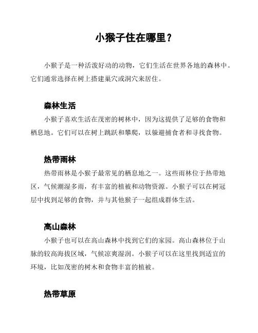 小猴子住在哪里？