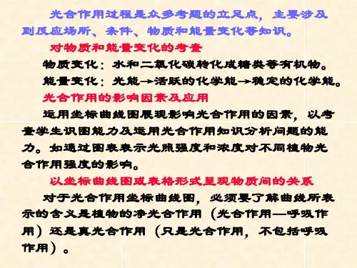 光合作用与呼吸作用的关系
