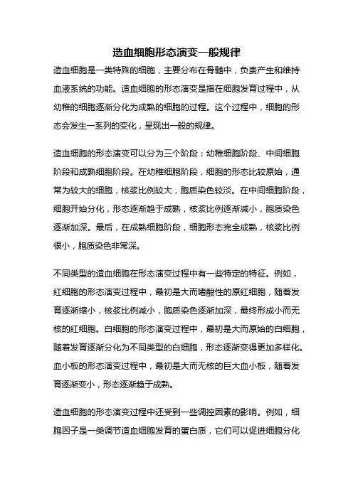 造血细胞形态演变一般规律