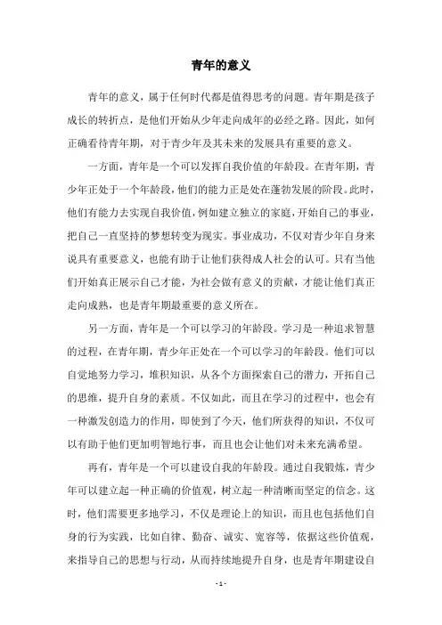 青年的意义