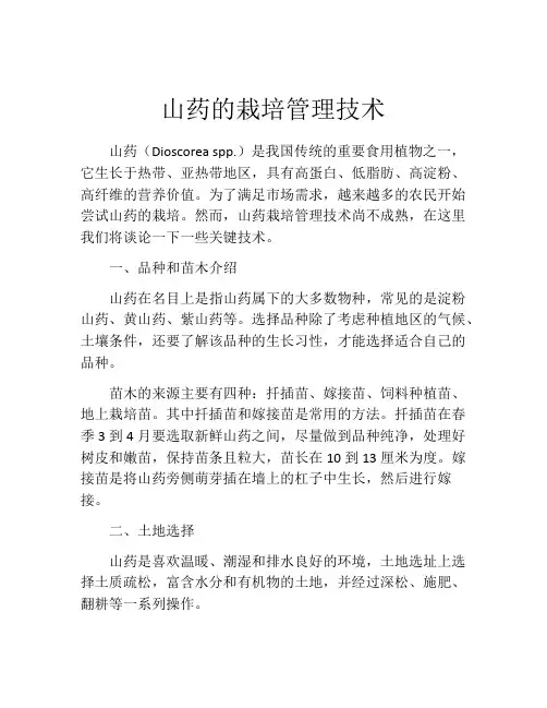 山药的栽培管理技术