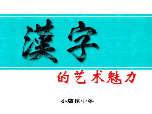 汉字的魅力 ppt课件