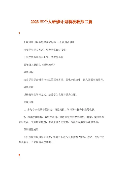 2023年个人研修计划模板教师二篇