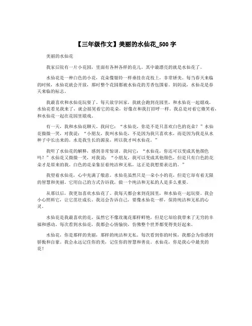【三年级作文】美丽的水仙花_500字