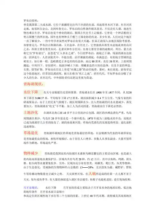 罗布泊资料