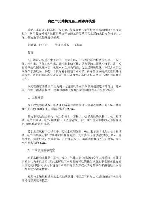 典型二元结构地层三维渗流模型