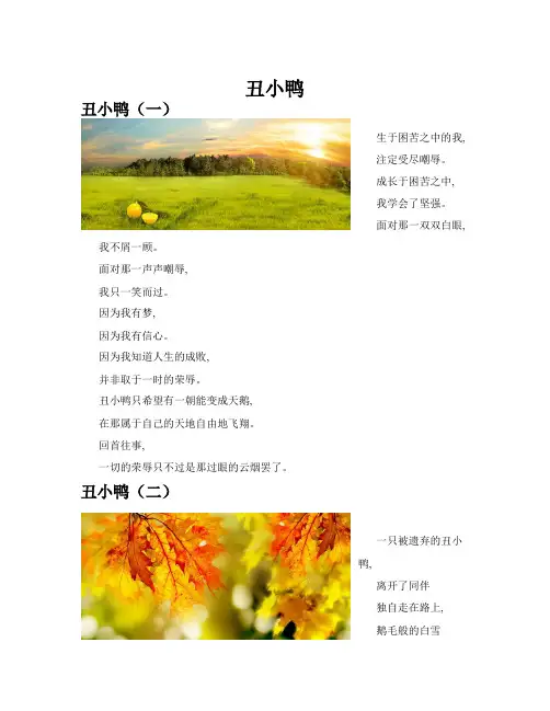 丑小鸭(共10篇)