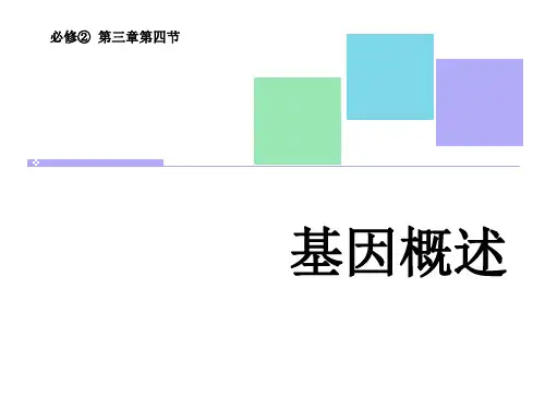 基因概述(课件)