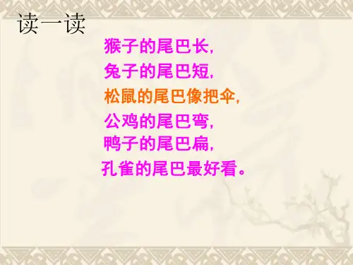 一年级语文下册 尾巴的功能 1课件 语文A版
