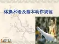体操术语及基本动作规范