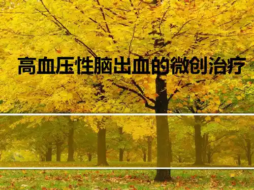 高血压性脑出血的微创治疗ppt课件