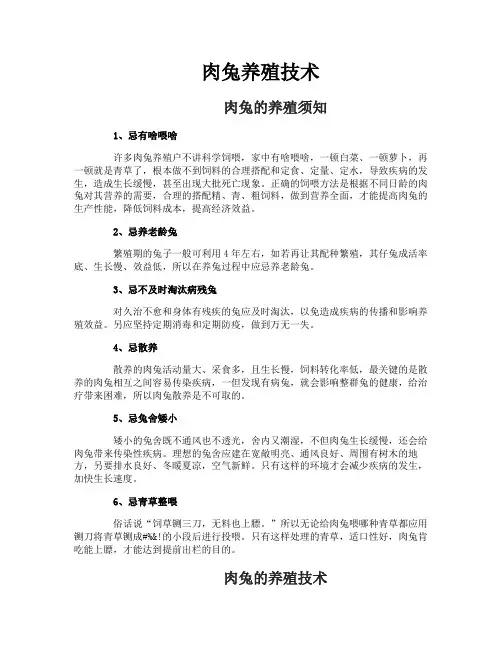 肉兔养殖技术