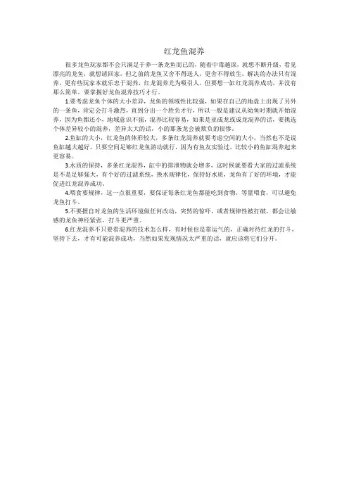 红龙鱼混养