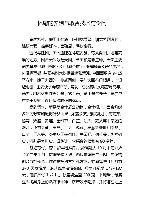 林麝的养殖与取香技术有学问