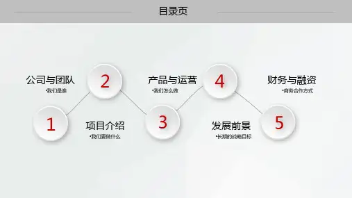 创业项目计划书模板PPT40张
