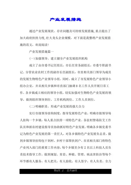 产业发展措施.doc