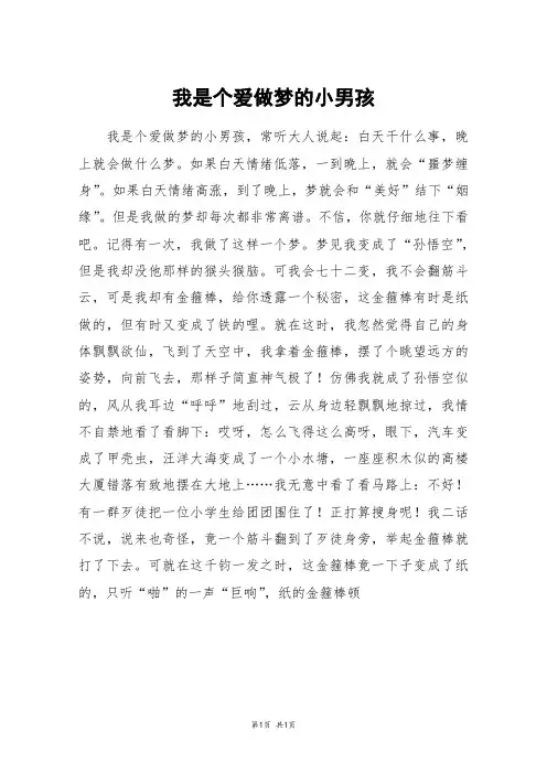 我是个爱做梦的小男孩_高二作文