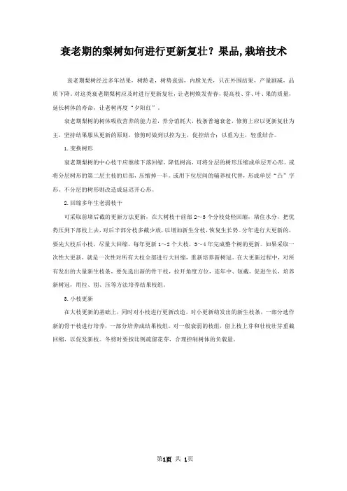 衰老期的梨树如何进行更新复壮？果品,栽培技术