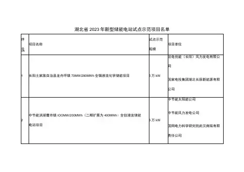 湖北省2023年新型储能电站试点示范项目名单