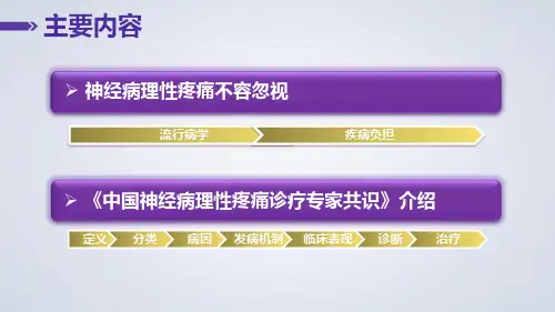 中国神经病理性疼痛诊疗专家共识