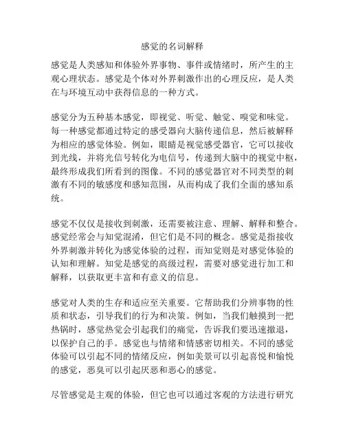感觉的名词解释