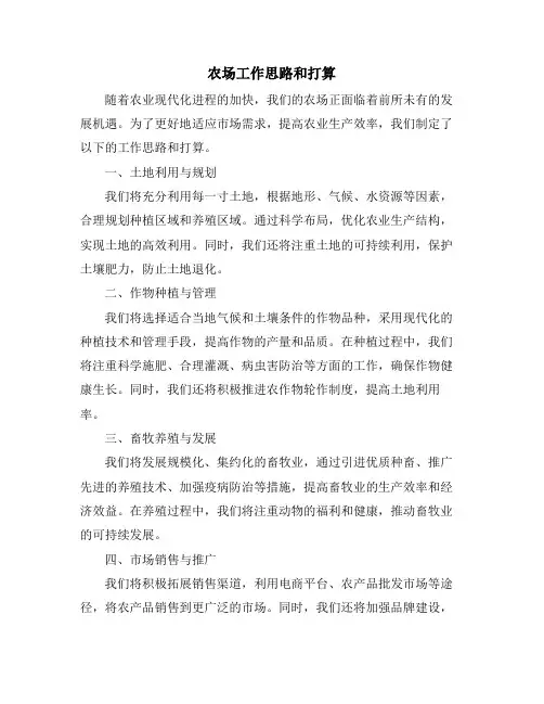 农场工作思路和打算