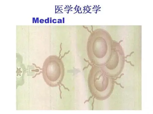 第一章 免疫学概论