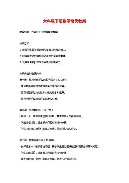 六年级下册数学培优教案 (2)