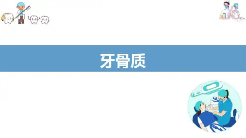 牙体组织—牙骨质(口腔组织病理学课件)