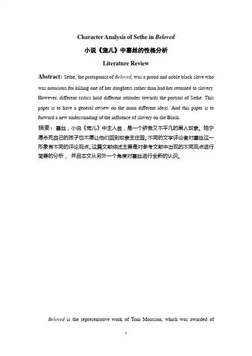 小说宠儿评论