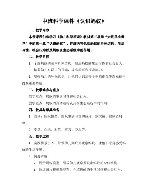 中班科学课件《认识蚂蚁》