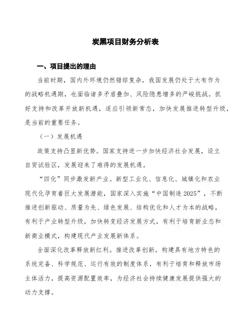 炭黑项目财务分析表 (2)