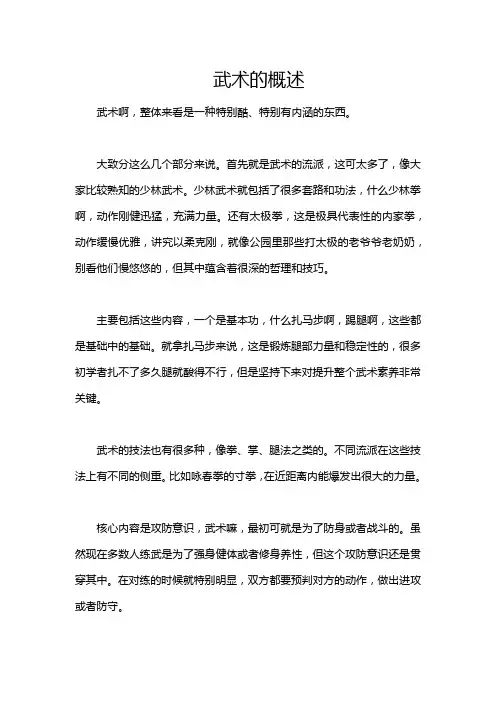 武术的概述
