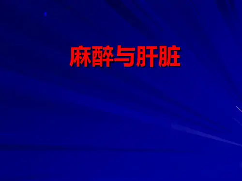 麻醉与肝脏PPT医学课件