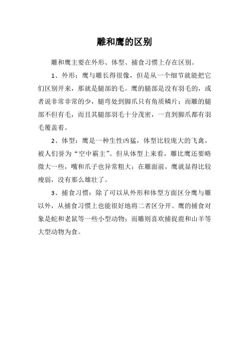 雕和鹰的区别